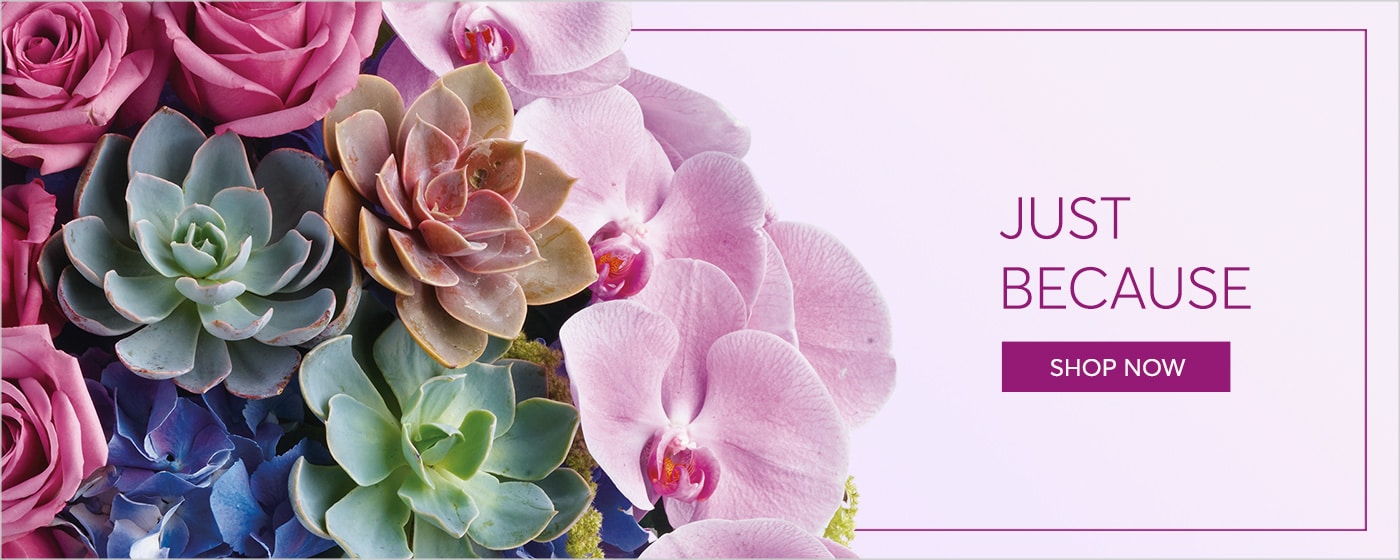 Because Flowers Delivery