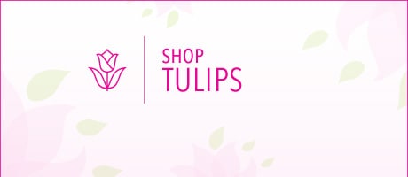 Beautiful Seasonal Flowers Banner